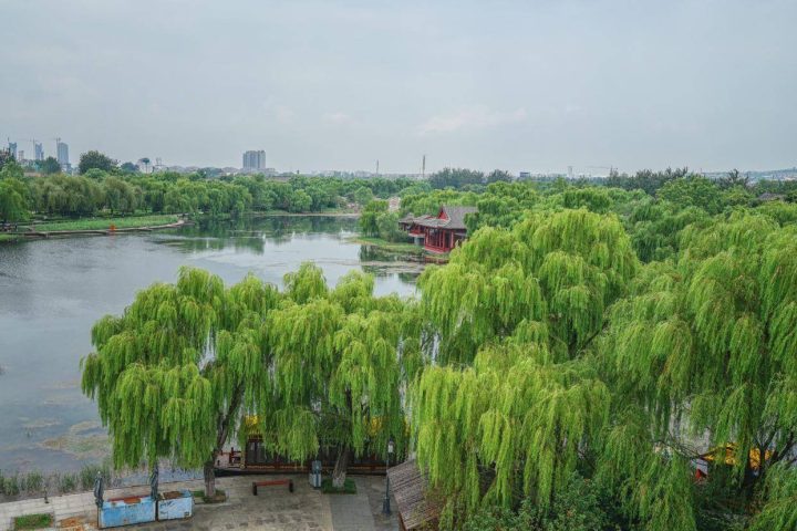 4082b686f8a2402a875778aefb4b6b1fnoop.image_
