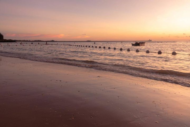 499a2aa21e6c40dc9b6dc00c58588cd8noop.image_