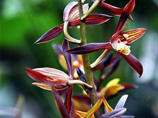 a1f5ca36-574e-4f6b-9f56-53bb4fb1a35anoop.image_