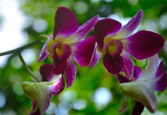 af6aa6c3-1719-4b98-a584-dd2e47132dc9noop.image_