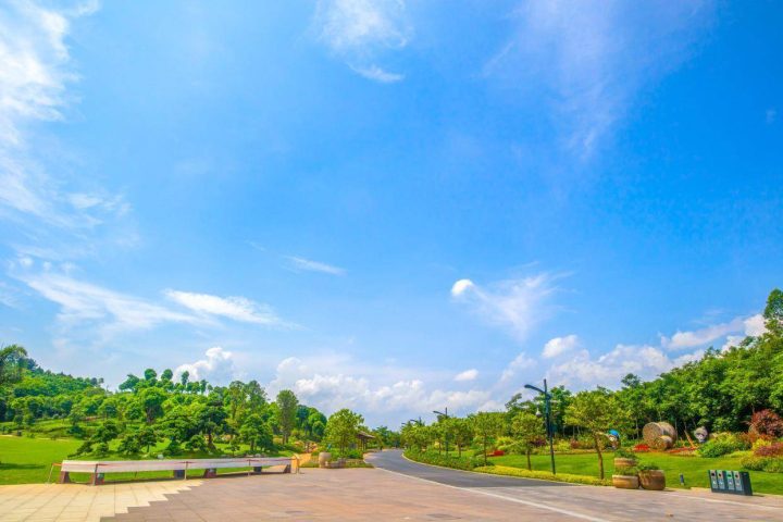 caf3441654fa4c78b4212c0bb7dffd66noop.image_