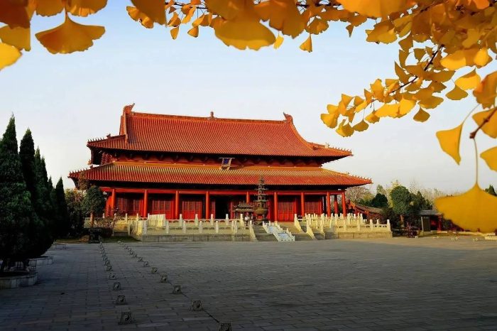 中国县城概况:涡阳——老子故里，安徽涡阳！-1