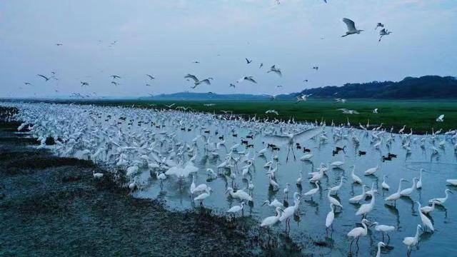 上饶十大春季旅游景点（上饶适合春季旅游的地方有哪些）-1