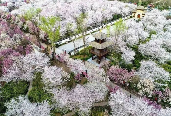 中国县城概况:鄢陵——花都鄢陵，中原花木看鄢陵！-1