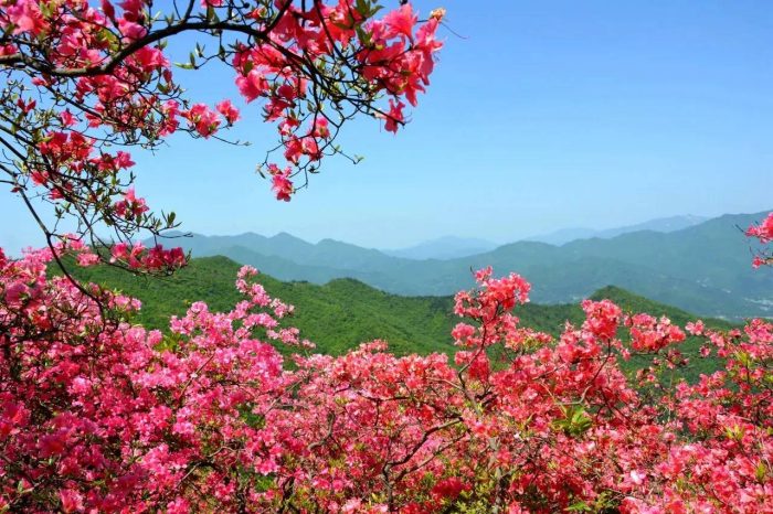 中国县城概况：霍邱——淮畔明珠，大美霍邱！-1