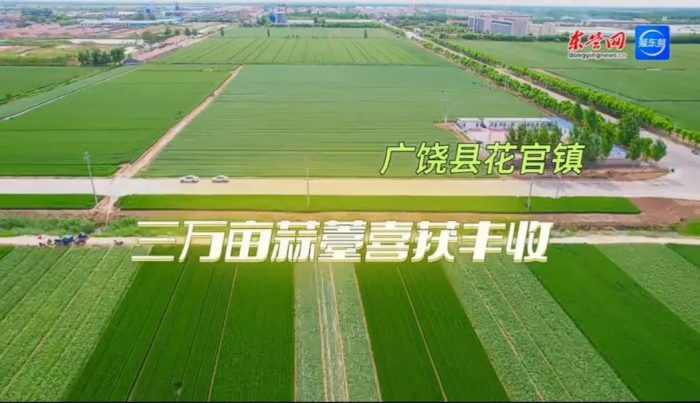 中国百强县概况：广饶县——孙武故里，书香广饶-1