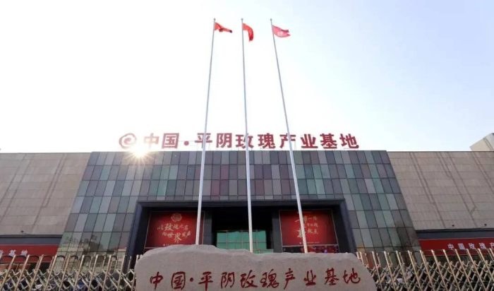 中国县城概况:平阴——玫瑰故里，阿胶之乡！-1