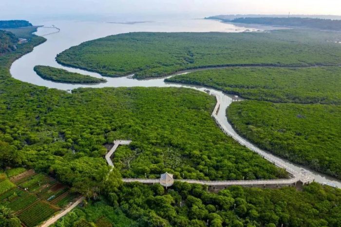 中国县城概况：合浦——千年合浦郡，丝路新明珠！-1