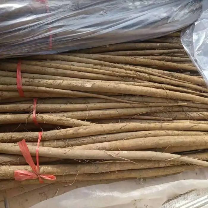 中国县城概况:沛县——刘邦故里，大汉之源！-1