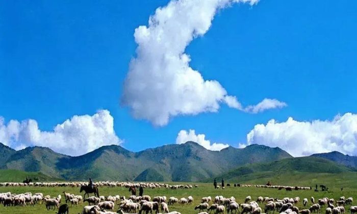 中国县城概况：民和——丝路明珠，美丽民和！-1