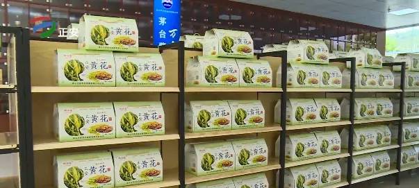 中国县城概况:正安——黔北门户，吉他之都！-1