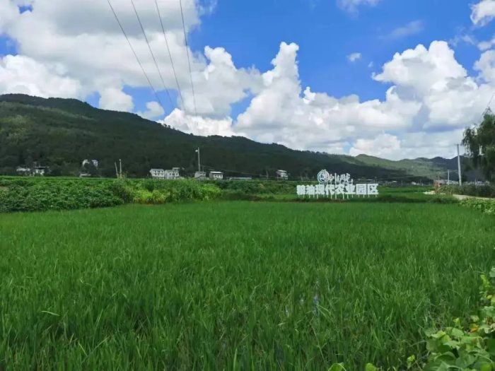 中国县城概况:剑阁——天险蜀道，雄关剑门！-1