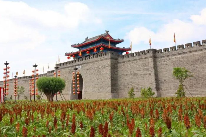 中国县城概况：高密——红高粱之乡，莫言故乡！-1