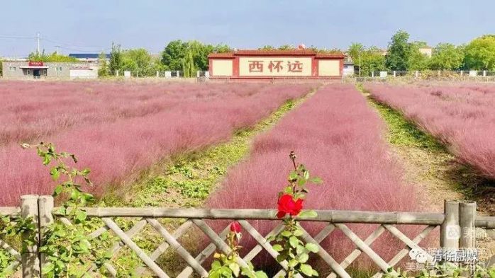 中国县城概况：清徐——中国醋都，山西老陈醋发源地！-1