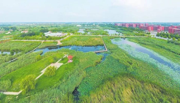 中国县城概况：夏津——世界遗产地，桑梓好故里！-1