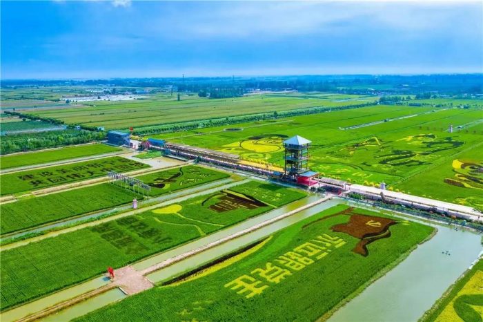 中国县城概况:贺兰——雄伟山河，塞上田园！-1