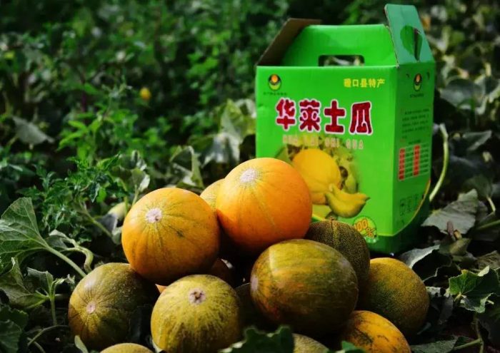 中国县城概况：磴口——百湖之乡，魅力磴口！-1
