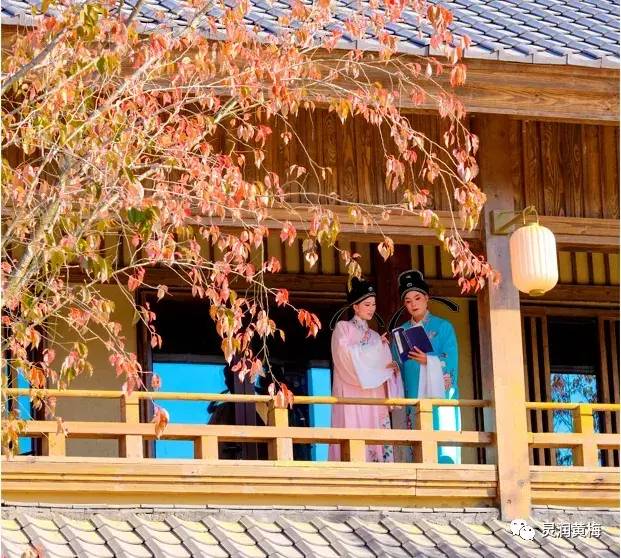 中国县城概况：黄梅——戏乡福地，灵润黄梅！-1