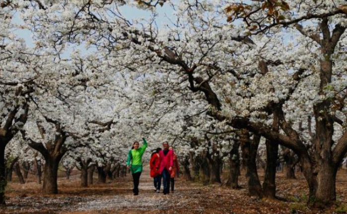 石家庄十大春季旅游景点（石家庄适合春季旅游的地方有哪些）-1