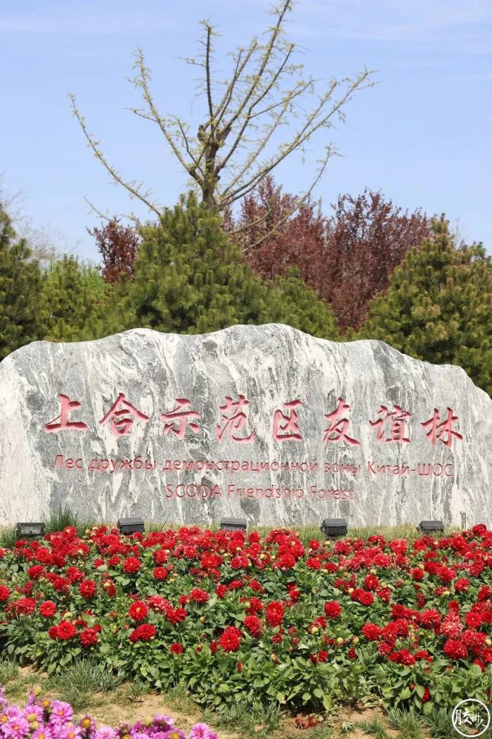 中国百强县概况：胶州——魅力青岛，人文胶州-1