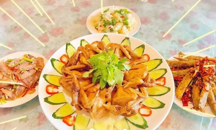 中国县城概况:鄢陵——花都鄢陵，中原花木看鄢陵！-1