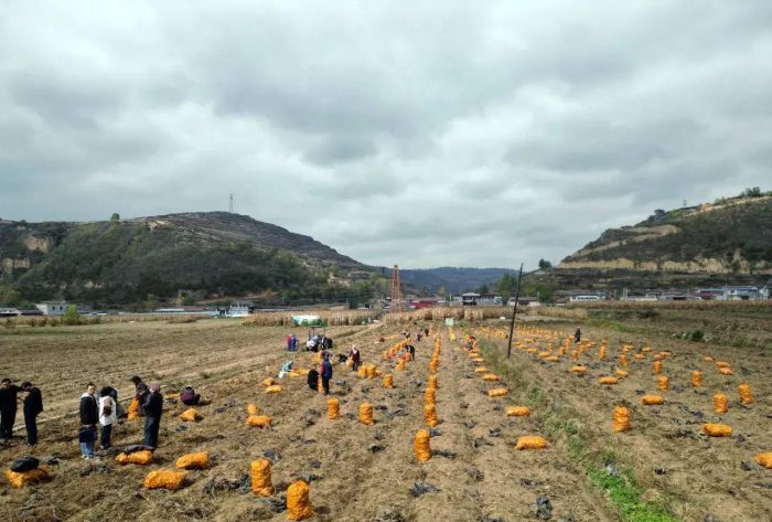 中国县城概况：张家川——陇东南地区唯一的一个少数民族自治县！-1