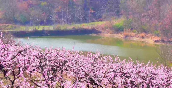 中国县城概况:枣阳——千古帝乡，美丽枣阳！-1