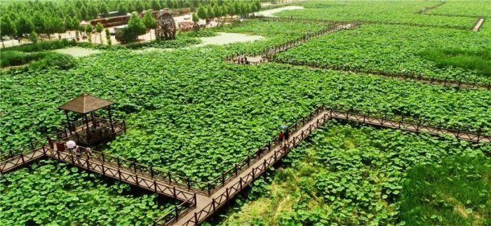 中国县城概况：曹县——低调的超牛县城，山东人口第一大县！-1