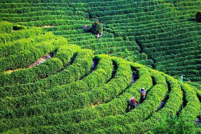 中国县城概况：大悟——鄂北门户，革命老区，红色大悟！-1