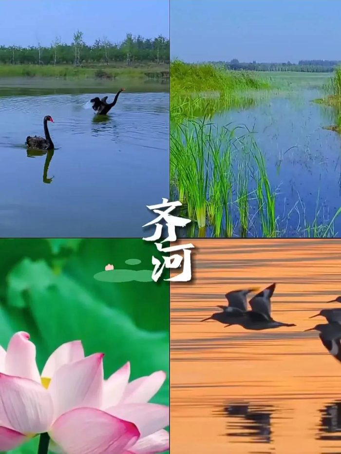 中国县城概况：齐河——上风，上水，上齐河-1