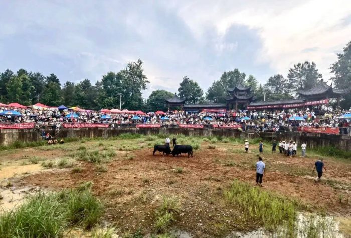 中国县城概况：都匀——高原桥城，山水都匀！-1