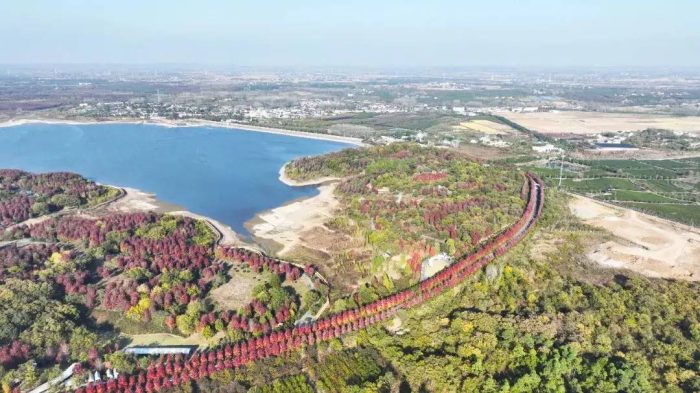 中国市辖区概况:南京市六合区——民歌《茉莉花》发源地！-1