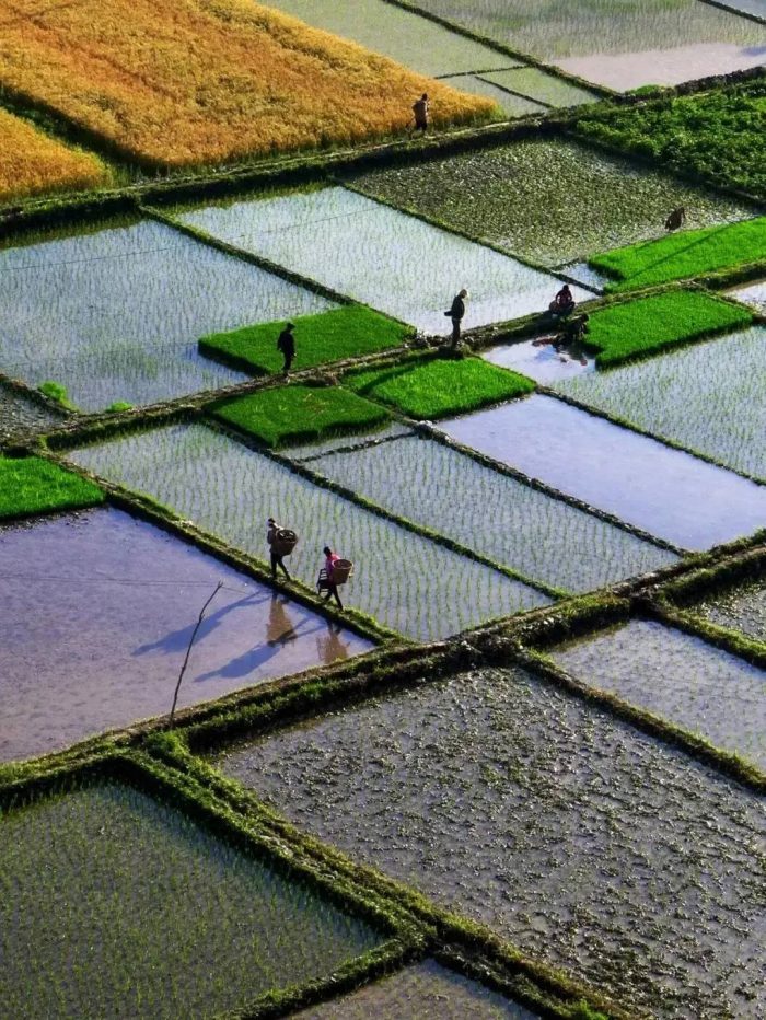 中国县城概况：文县——陇上江南，仙境文县！-1