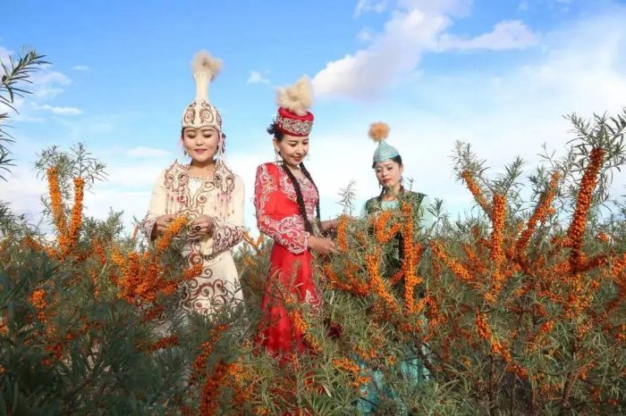 中国县城概况：白杨——最年轻的城市！-1