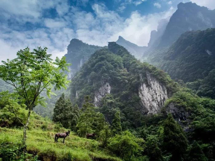 中国市辖区概况:涪陵——山水之城，两江福地，榨菜之都！-1