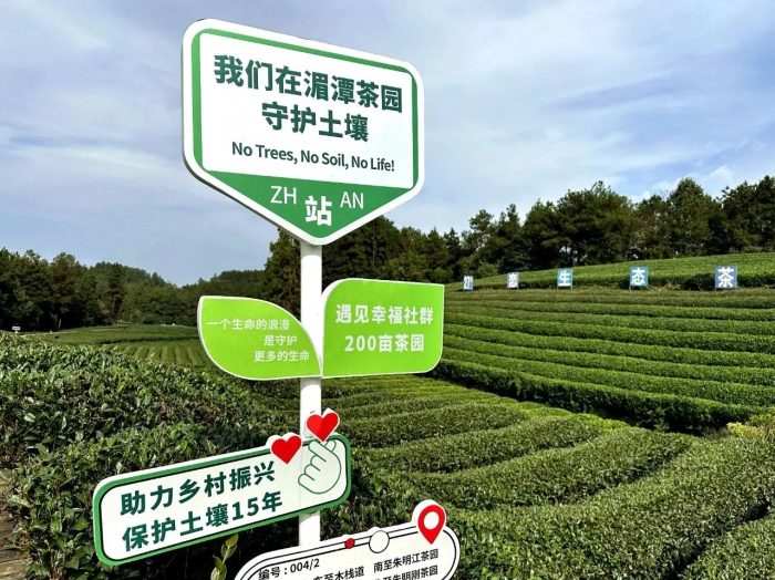中国县城概况:湄潭——中国茶城，贵州湄潭！-1