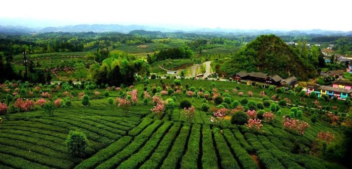 中国县城概况:湄潭——中国茶城，贵州湄潭！-1
