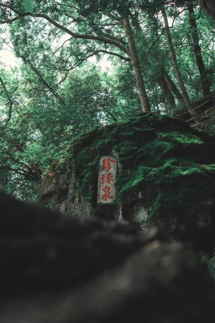 中国市辖区概况：浦口——江河交汇，金陵门户！-1