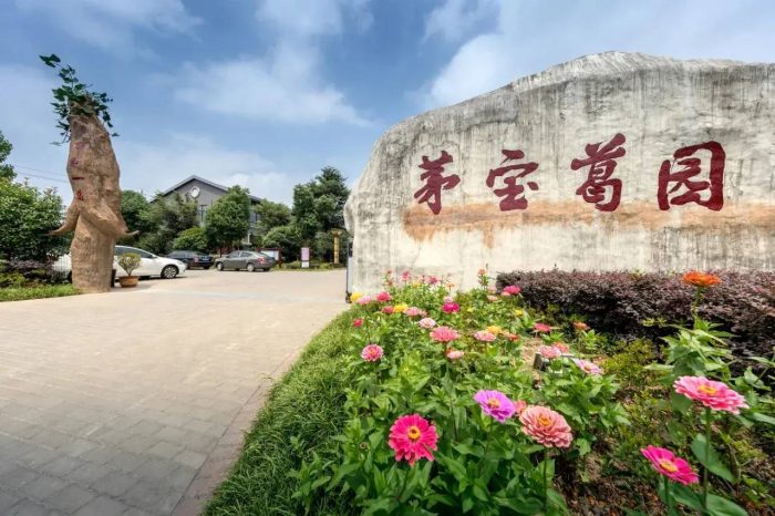 中国县城概况：句容——南京新东郊、金陵御花园！-1