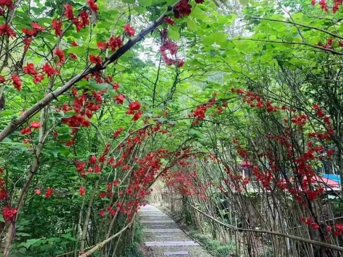 中国县城概况：宜都——两江明珠，大美宜都！-1
