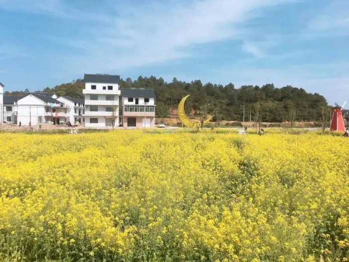 中国县城概况:贵溪——龙虎山下，江西贵溪！-1