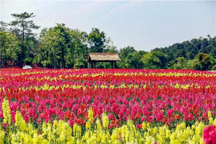 中国县城概况:钟祥——风水宝地，祥瑞所钟！-1