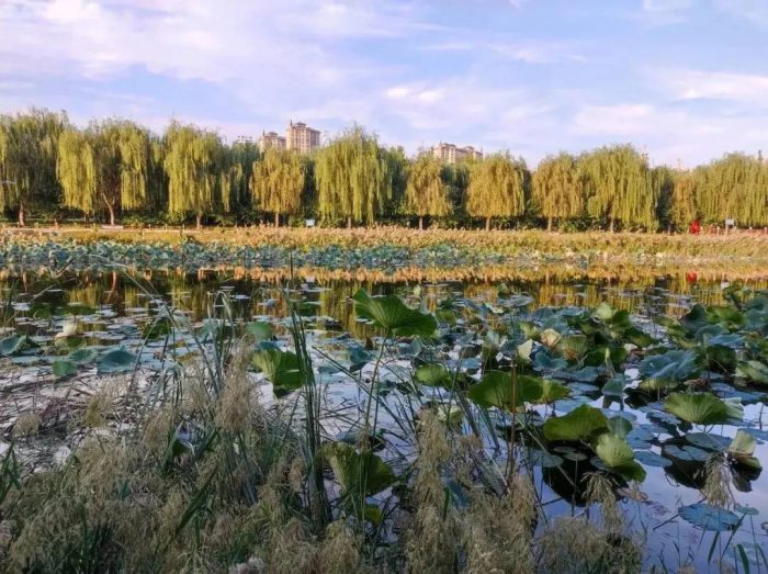 中国县城概况:固安——京畿重地，京南明珠！-1