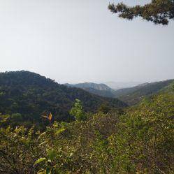 大连十大春季旅游景点（大连适合春季旅游的地方有哪些）-1