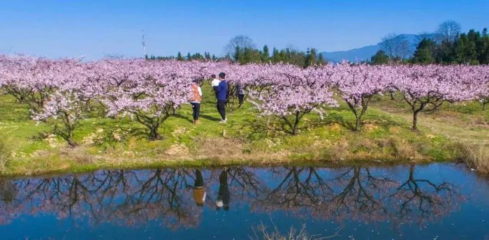 中国县城概况：丰城——风水宝地，丰收之城！-1