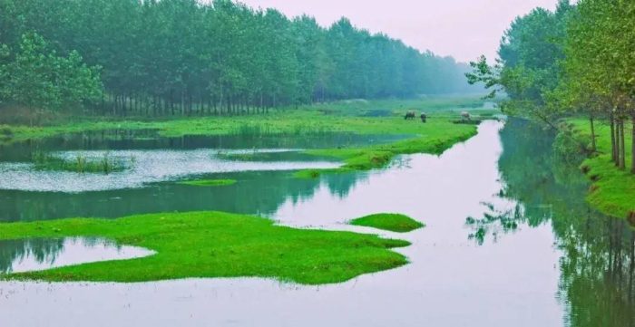 中国县城概况:泗阳——运河三千里，最美在泗阳！-1