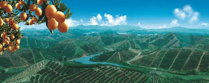 中国县城概况:寻乌——寻乌不寻常，风光无限好！-1
