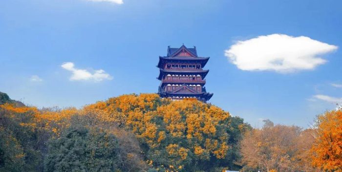 中国县城概况：鄱阳——鄱水之阳，富饶之州！-1
