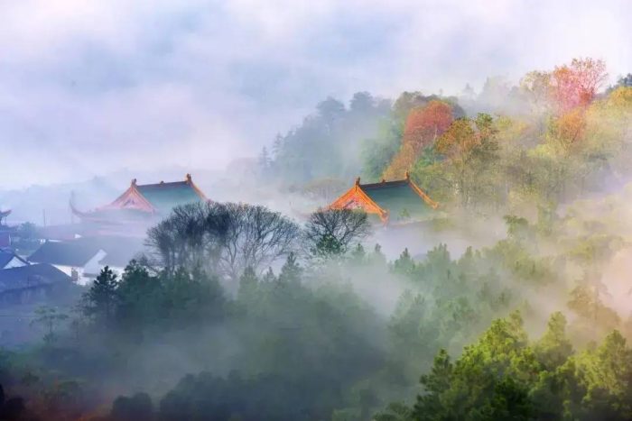 中国县城概况：樟树市——中国药都，美丽樟树！-1