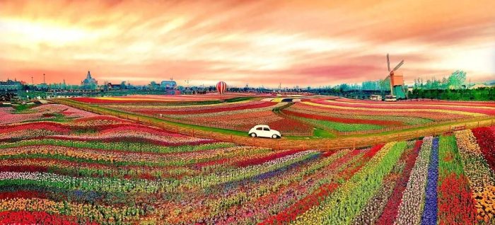 中国市辖区概况:大丰——多彩湿地，花里大丰！-1